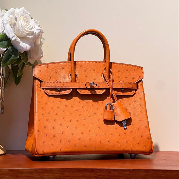 HM BIRKIN 25 BAG IN FIRE ORANGE OSTRICH LEATHER WITH SILVER HARDWARE (MADE-TO-ODER)